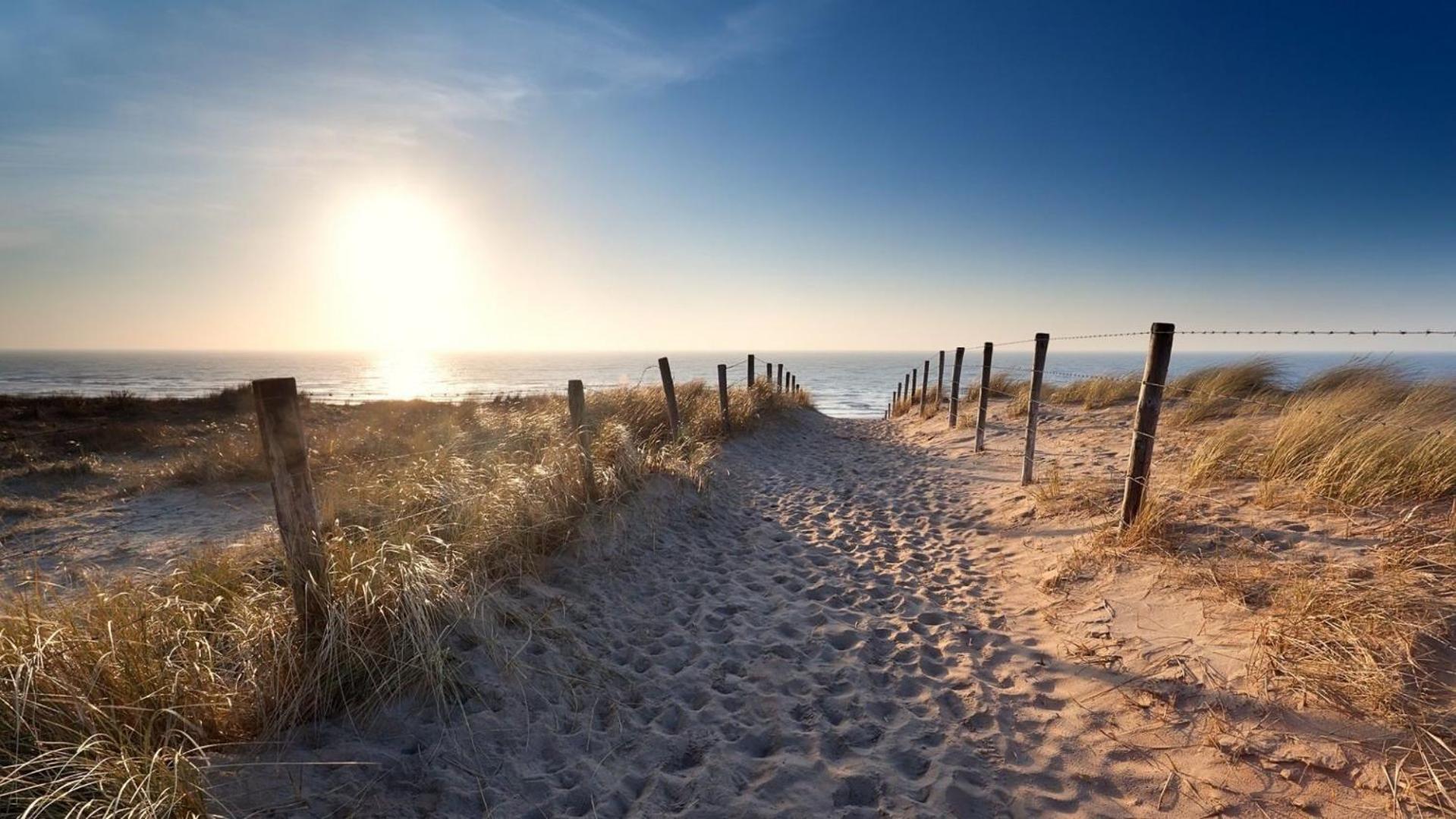 Sunny Dunes * Zandvoort